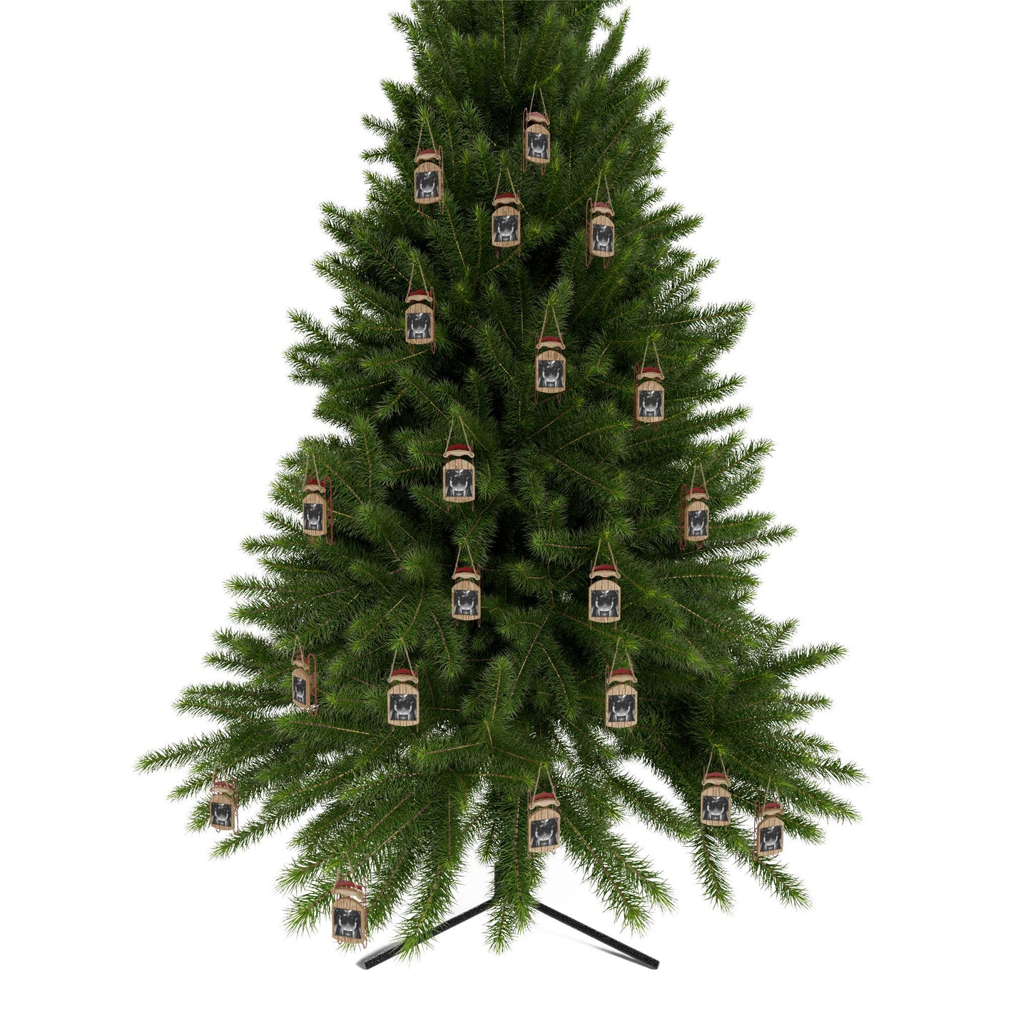 HOH Sled Ornaments