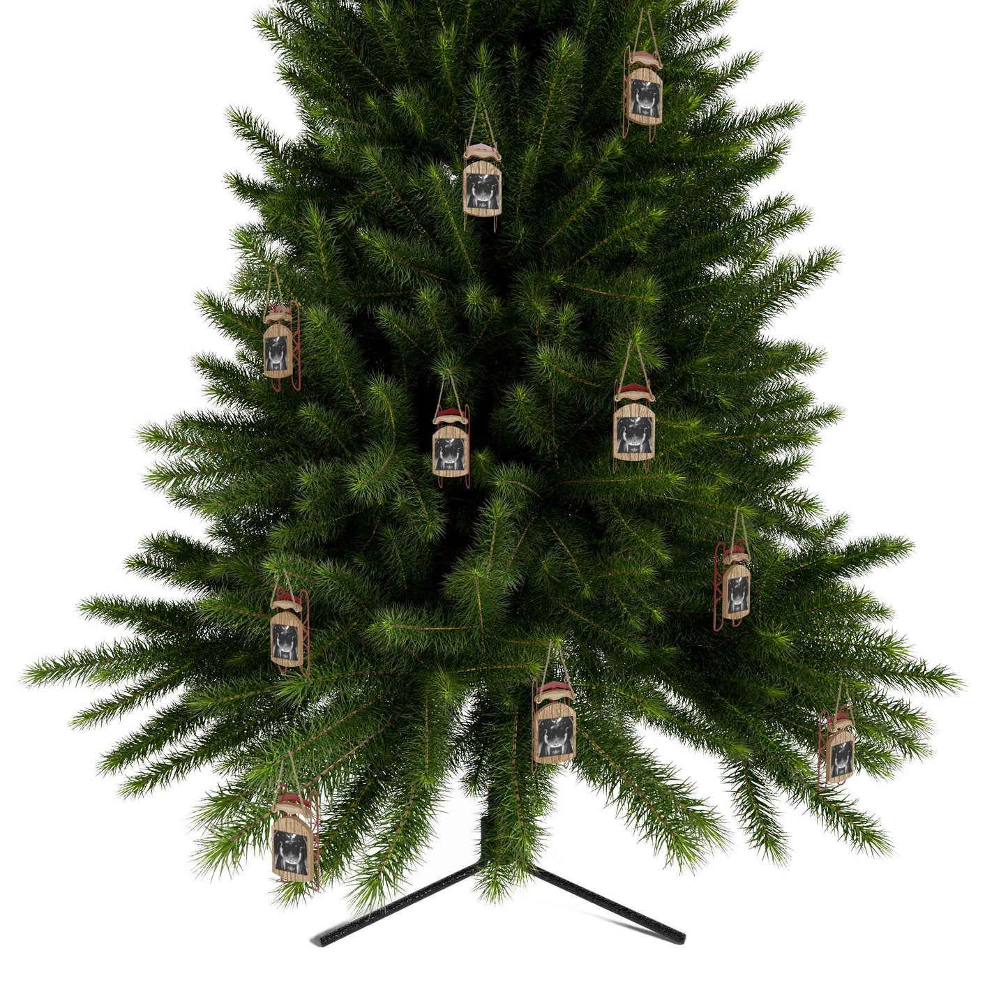 HOH Sled Ornaments
