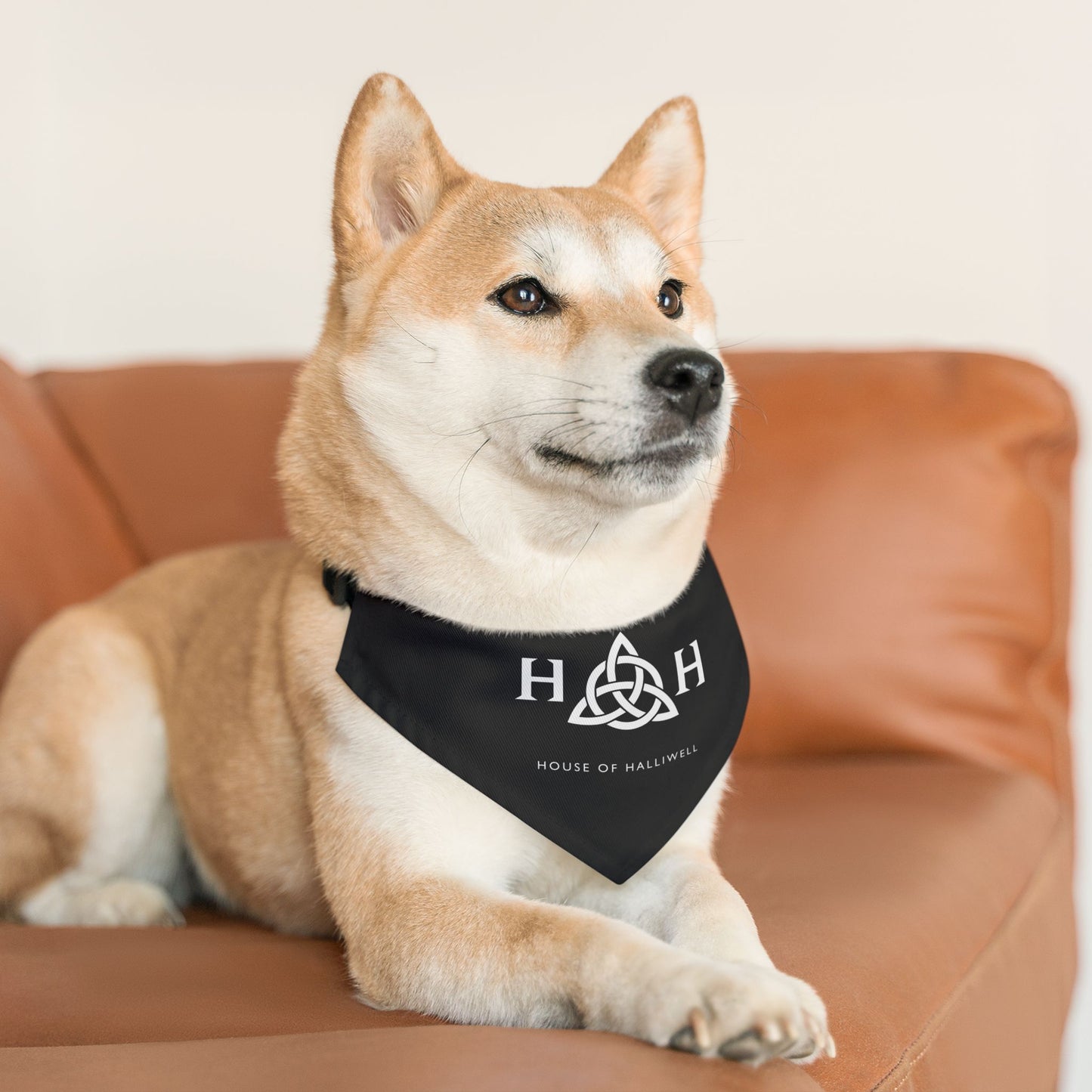 HOH Pet Bandana Collar